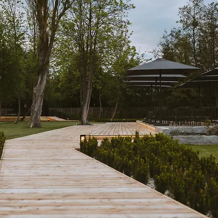 Laf Boutique צ'ארזיקובי