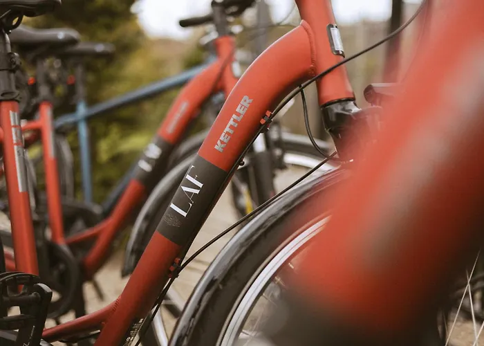 Rezort Laf Boutique Charzykowy